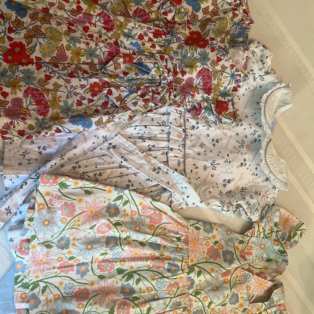 Bella Bliss Floral Embroidered Dresses - 2T